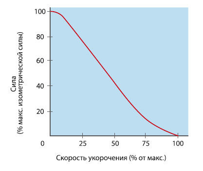 Вячеслав Шляхтов, Руслан Городничев - Физиология силы