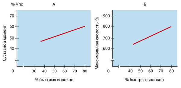 Вячеслав Шляхтов, Руслан Городничев - Физиология силы