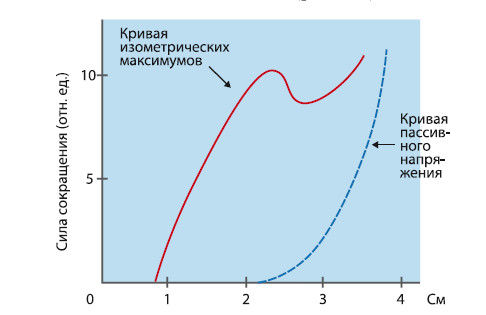 Вячеслав Шляхтов, Руслан Городничев - Физиология силы