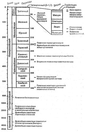 Дж. Д. Макдугалл - Краткая история планеты Земля: горы, животные, огонь и лед