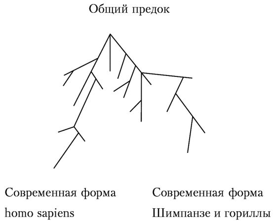 Галия Хасанова - Антропология. Учебное пособие