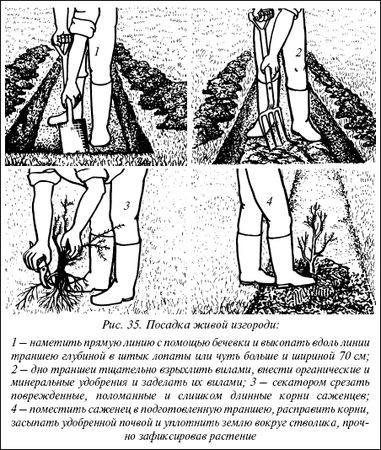 Валентина Назарова - Современные хозяйственные постройки и обустройство участка