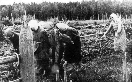 Владимир Побочный, Людмила Антонова - Весенне-летние бои (21.04.-16.07.1942 г.)