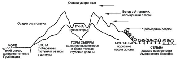 Энн Кенделл - Инки. Быт, религия, культура