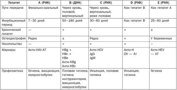 Галина Лазарева - Справочник фельдшера