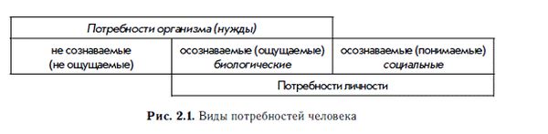 Мотивация и мотивы