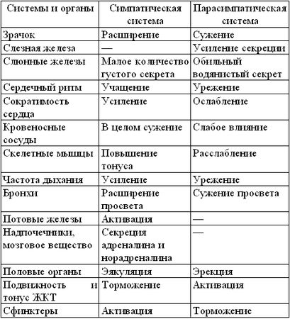 Андрей Курпатов - Средство от вегетососудистой дистонии