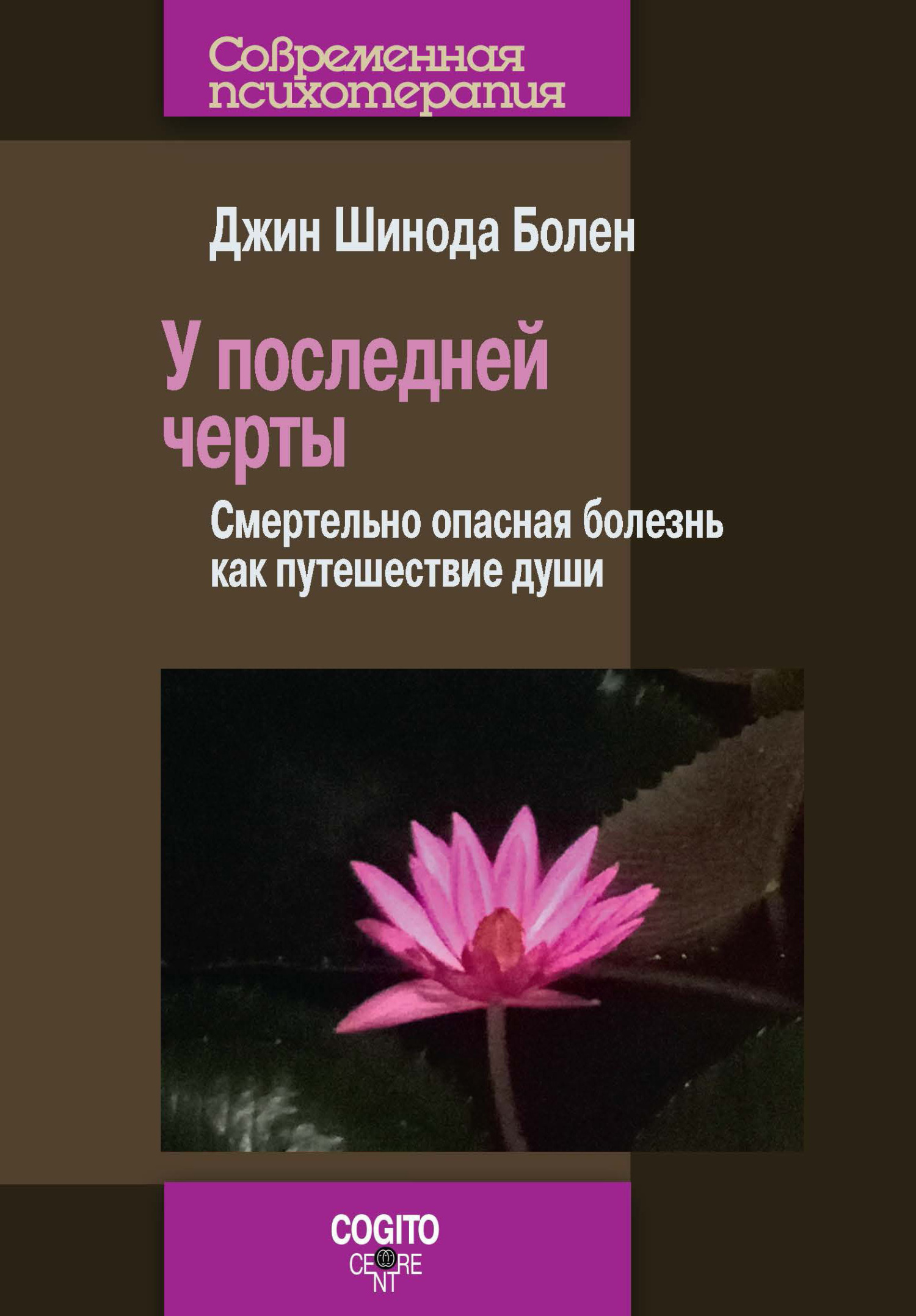 читать У последней черты. Смертельно опасная болезнь как путешествие души