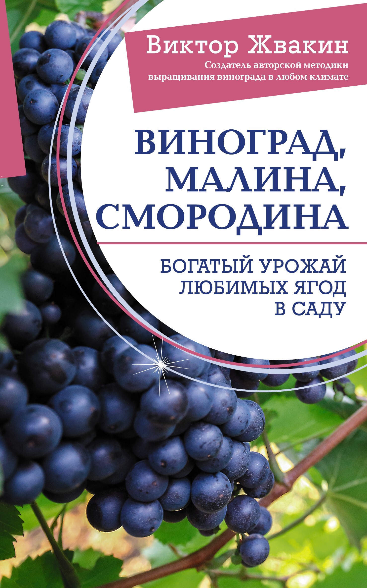 читать Виноград, малина, смородина. Богатый урожай любимых ягод в саду