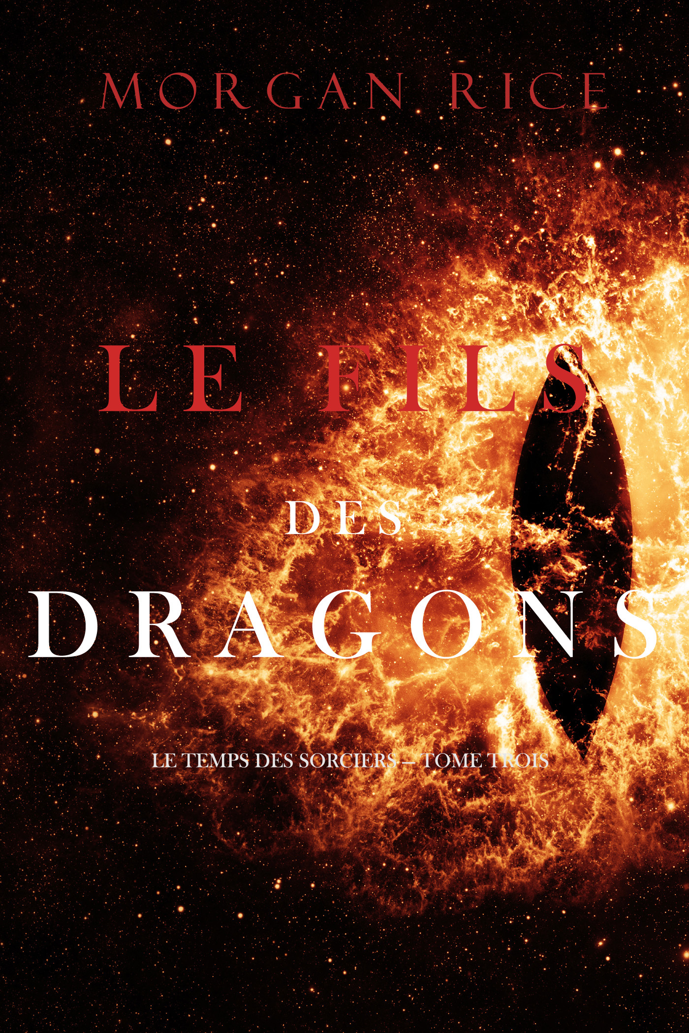 читать Le Fils des Dragons