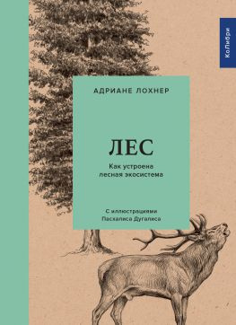 читать Лес. Как устроена лесная экосистема