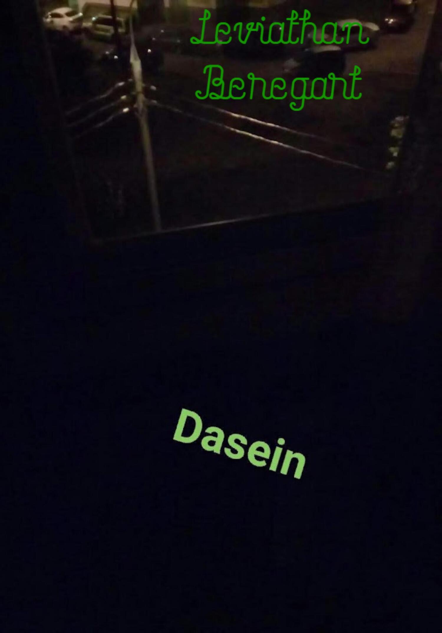 читать Dasein