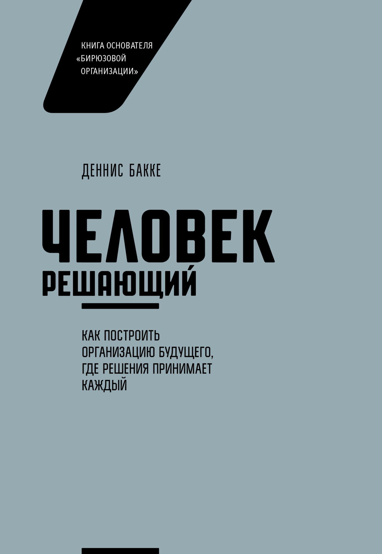 читать Человек решающий. Как построить организацию будущего, где решения принимает каждый