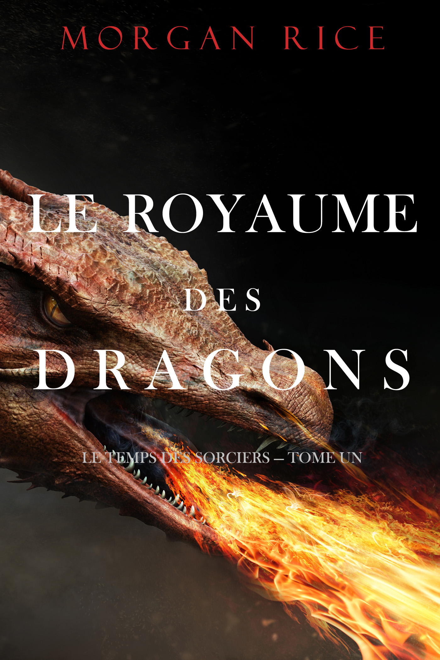 читать Le Royaume des Dragons