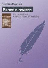 читать Камни и молнии (сборник)