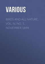 читать Birds and All Nature, Vol. IV, No. 5, November 1898