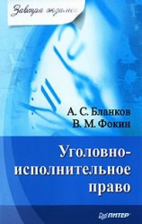 читать Уголовно исполнительное право