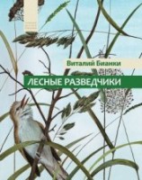 читать Лесные разведчики (сборник)