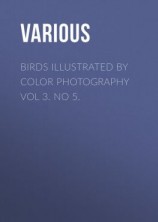 читать Birds Illustrated by Color Photography Vol 3. No 5.