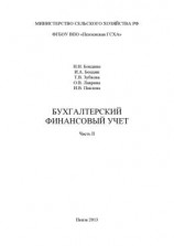 читать Бухгалтерский финансовый учет. Часть 2