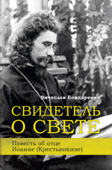 читать Свидетель о Свете. Повесть об отце Иоанне (Крестьянкине)