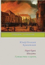 читать Перед бурей. Шнехоты. Путешествие в городок (сборник)