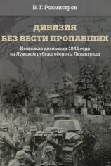 читать Дивизия без вести пропавших. Десять дней июля 1941 года на Лужском рубеже обороны