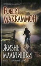 читать Жизнь мальчишки. Книга 1. Темная бездна