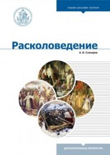 читать Расколоведение. Введение в понятийный аппарат