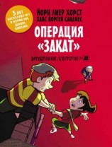 читать Детективное агентство 2. Операция «Закат»