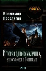 читать История одного мальчика, Или отморозок в Поттериане