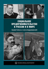 читать Социальное предпринимательство в России и в мире: практика и исследования