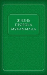 читать Жизнь Пророка Мухаммада