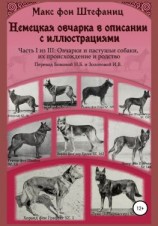 читать Немецкая овчарка в описании с иллюстрациями. Часть I из III: Овчарки и пастушьи собаки, их происхождение и родство