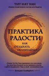 читать Практика радости. Как отдыхать осознанно