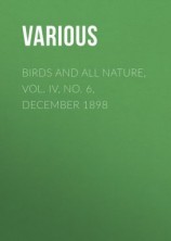 читать Birds and all Nature, Vol. IV, No. 6, December 1898