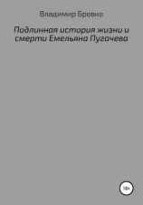 читать Подлинная история жизни и смерти Емельяна Пугачева