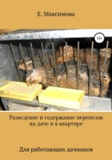 читать Разведение и содержание перепелов на даче и в квартире