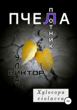 читать Пчела-плотник