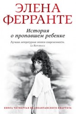 читать История о пропавшем ребенке