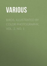 читать Birds, Illustrated by Color Photography, Vol. 2, No. 1