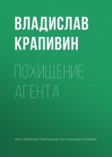 читать Похищение агента