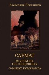 читать Молчание посвященных. Эффект бумеранга (сборник)