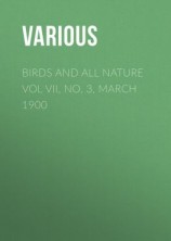 читать Birds and all Nature Vol VII, No. 3, March 1900