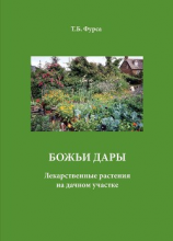 читать Божьи дары. Лекарственные растения на дачном участке