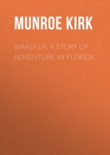 читать Wakulla: a story of adventure in Florida