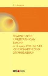 читать Комментарий к Федеральному закону от 12 января 1996 г. 7-ФЗ «О некоммерческих организациях» (постатейный)