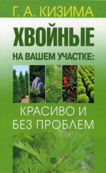 читать Хвойные на вашем участке: красиво и без проблем