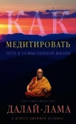 читать Как медитировать. Путь к осмысленной жизни