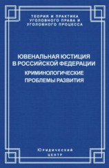 читать Ювенальная юстиция в Российской Федерации. Криминологические проблемы развития